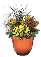 Honeysuckle Planter, Patio Pot, 15" Tequila Sunrise