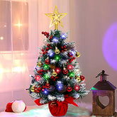 24" Mini Christmas Tree, Decoration