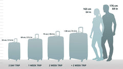 Hardside Expandable Spinner Wheel Luggage, Grey, Carry-On 20-Inch