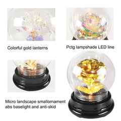 Rose Flower in Glass Dome Floral Globe w/ LED Light