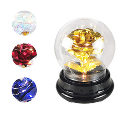Rose Flower in Glass Dome Floral Globe w/ LED Light