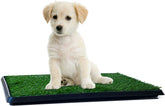 Artificial Grass Puppy Pad for Dogs and Small Pets w/ Tray (16" x 20")