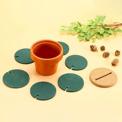 Creative Cactus Coaster