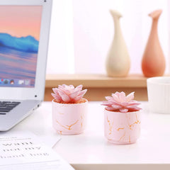 Succulent Artificial Plants,Cute Fake Succulents in 2 Pink Ceramic Pots,Small Fake Plants for Office,Table,Desk,Bathroom, Bedroom,Aesthetic Room Shelves Decor,Desk Decorations for Women Office