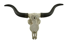 Black & Bone Decorative Longhorn Trophy Skull Wall Sculpture 20 Inch Long