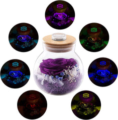Valentines Day Rose Gifts for Women, Purple Preserved Flower Rose, Purple Rose