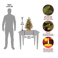 2 Ft Pre-lit Artificial Mini Christmas Tree