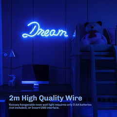 Led Neon Wall Light Wall Decor, Battery or USB Powered Light Up Acrylic Neon Sign