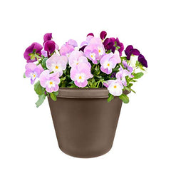 8" Round Classic Planter - Tw/ Rolled Rim & 10 Drain Holes