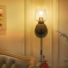 Modern Plug in Wall Sconce, w/  Brass Accent Edison Socket