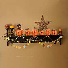 Thanksgiving Decorations Hand-Painted Turkey & Pumpkins