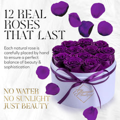 Forever Flower Gift Box: 12 Real Preserved Roses in Round Velvet White Box, Handmade, Rose Petals, Birthday, Marriage,Anniversary, Graduation - Purple