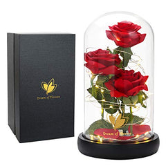 Preserved Rose in Dome for Valentines Day Gift