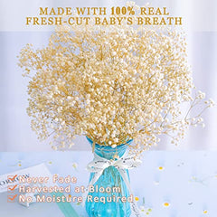 Dried-Babys-Breath-Flowers-Bouquet-17 inch