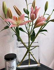 Book Vase for Flowers, Acrylic Clear Book Flower Vase, A Book About Flowers Vase, Unique Home/Bedroom