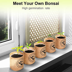 Bonsai Tree kit -NIFSEL Bonsai Growing Kit - Complete Starter kit, 5 Types of Trees - Culture Medium, Plant Marker