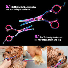 4CR Stainless Steel Safety Round Tip 6 in 1 Professional Dog Grooming Scissors Kit