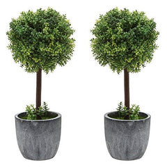 Set of 2 Artificial Boxwood Topiary Trees, Fake Plants Decor - 12 Inch