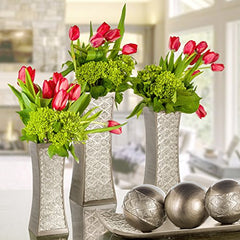 Decorative Tray and Orbs Balls Set - (Brushed Silver)
