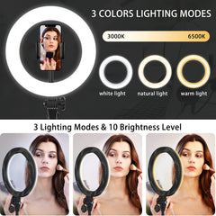 10.5'' Computer Ring Lights with Stand and Phone Holder, Laptop Ring Light