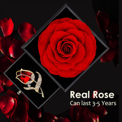 Red Rose Gift Box- Enchanted Real Rose w/ Ruby Rose brooch, Eternal Rose Flower