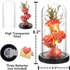 Preserved Flower Gift, Light Up Rose in Glass Dome, Eternal Forever Flower, Rose Pink
