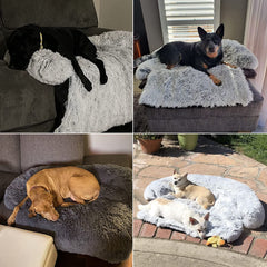 Medium Calming Dog Bed Fluffy Plush Dog Mat w/ Removable Washable Cover (41x37x6), Light Grey