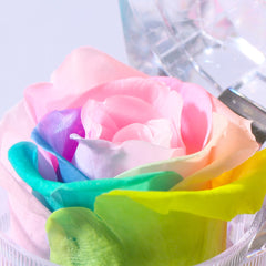 Preserved Forever Rose Acrylic Ring Box Gift for Women