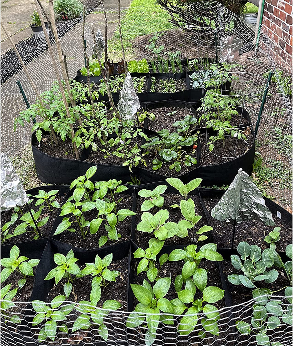 Fabric Raised Garden Bed 6x3x1ft for Growing Herbs, Flowers & Vegetables 128 Gallon