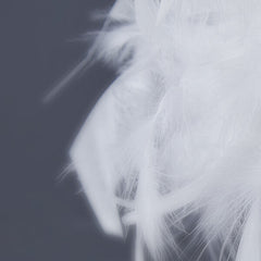 Feather Table Lamp