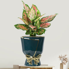 Gold Edge Bow Ceramic Vase