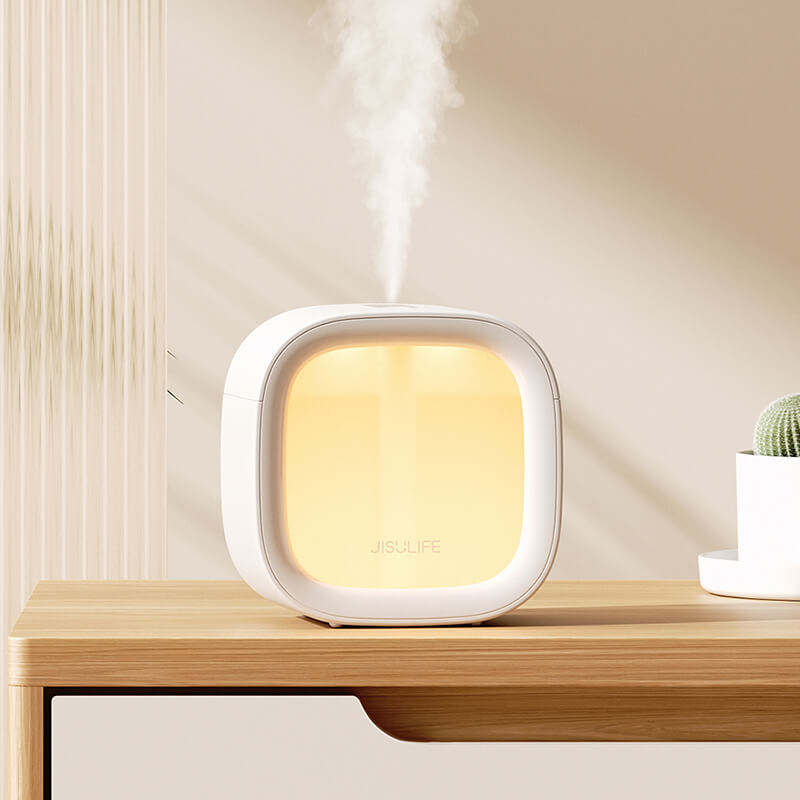 Summer Mini Simple Night Lamp Humidifier