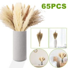 65x Natural Dried Pampas Grass Reed Flower Phragmite Bunch Bouquet Wedding Decor